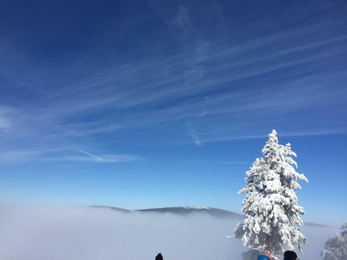 Ferienwohnung Harz-Flair 264 Hohegeiß Kültér fotó